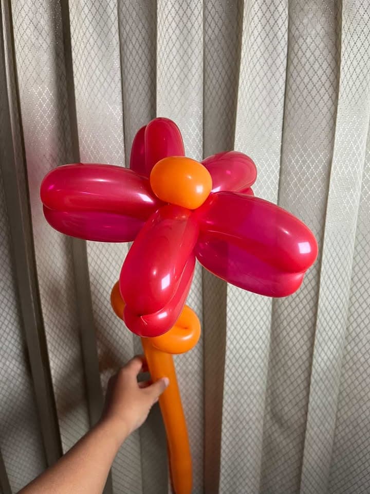 Bunga balon merah dengan pusat oranye dan tangkai kuning