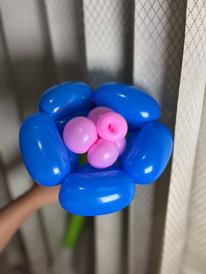 Bunga balon biru dengan pusat merah muda dan tangkai hijau